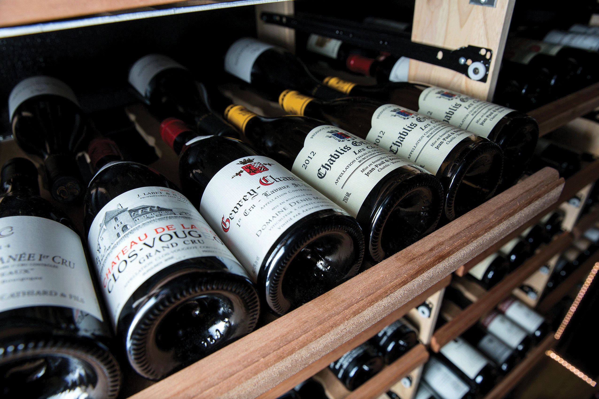 Best Wine Cooler Pinot Noir