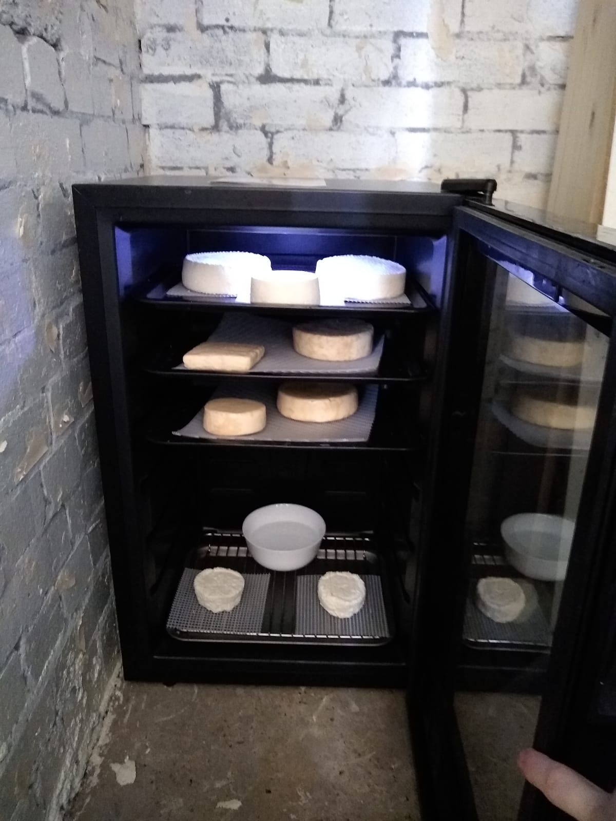 Can I store cheese in a wine fridge?