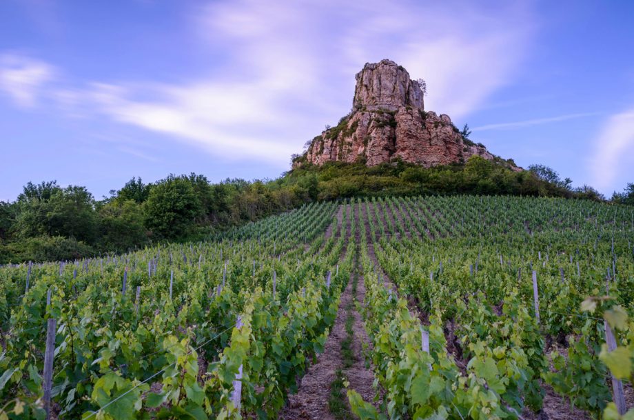 How to store pouilly fuisse