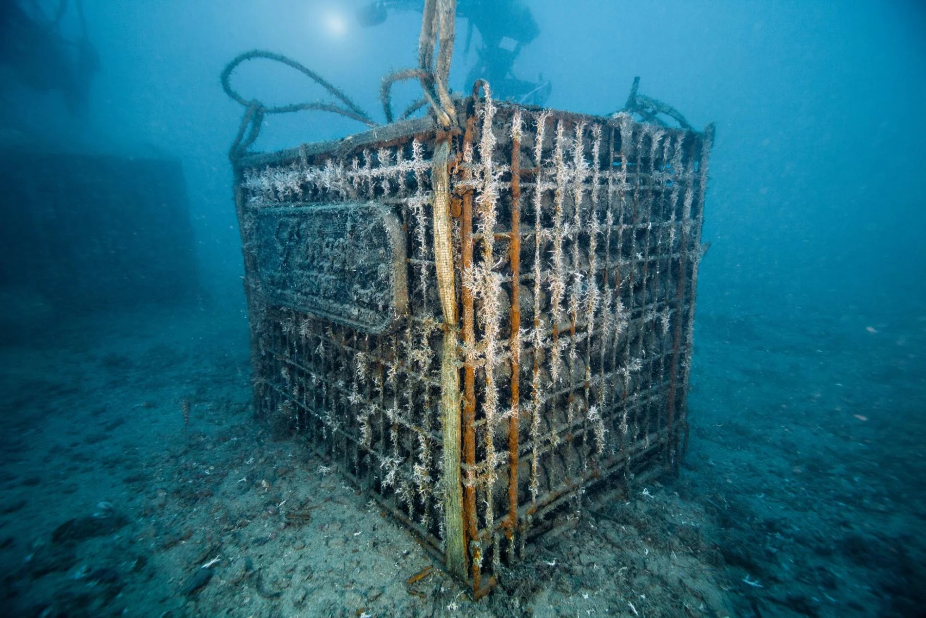 Wines Matured at Sea?