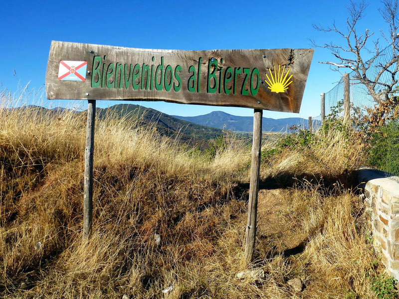 Maturing Bierzo