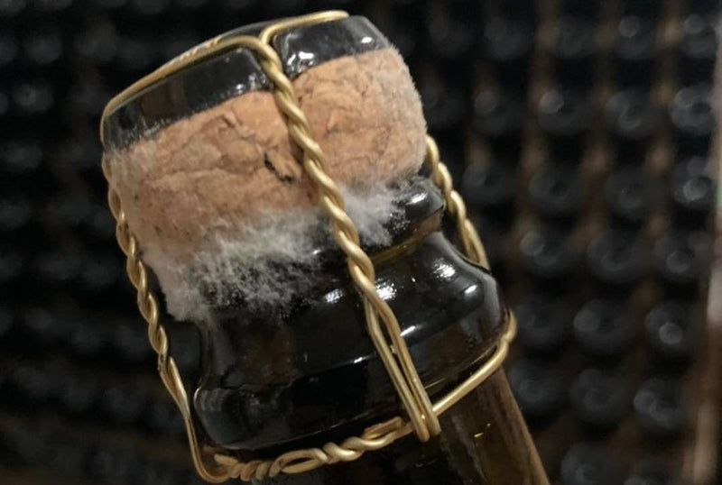 How to Raise Humidity in a Wine Fridge
