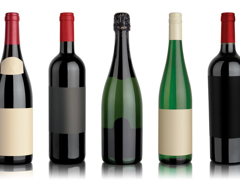 Best Wine Coolers for Varied Wine Collections