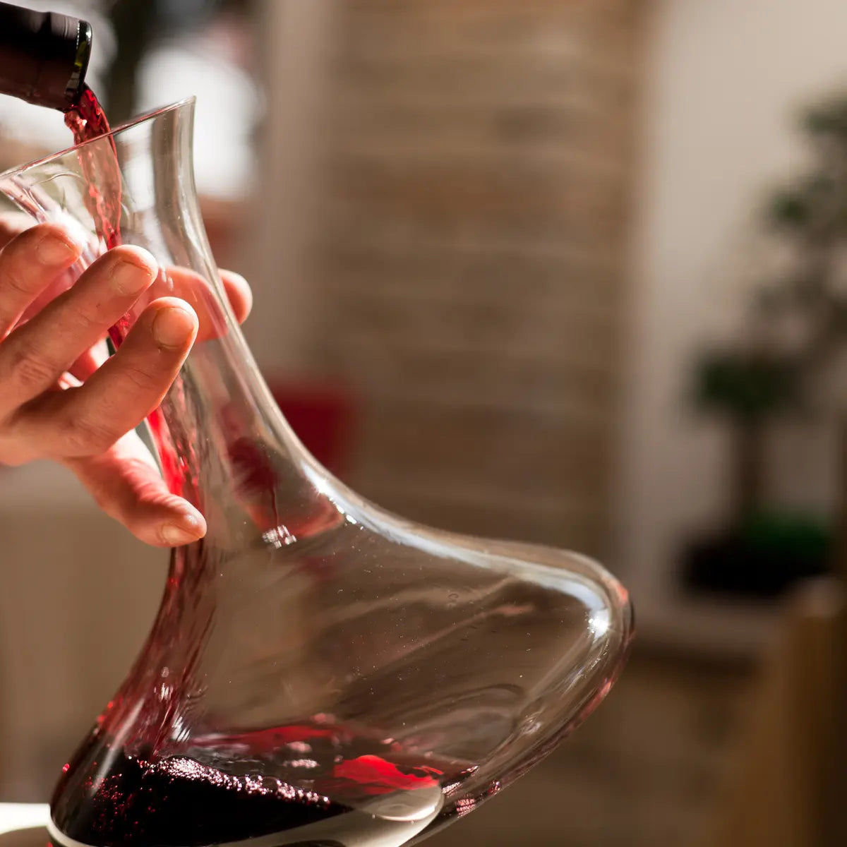 How Do You Properly Decant Wine?