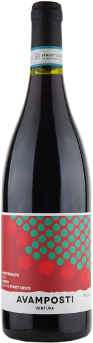 2021 Avamposti Ventura Pinot Nero, Monferrato DOC, Italy