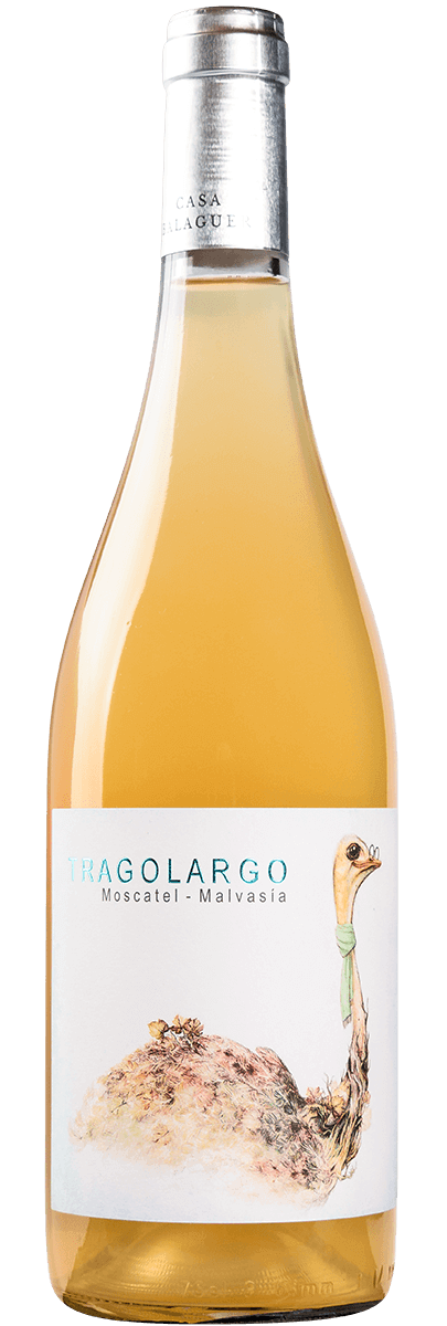 tragolargo