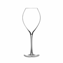 Lehmann Jamesse Prestige Grand Champagne Glasses